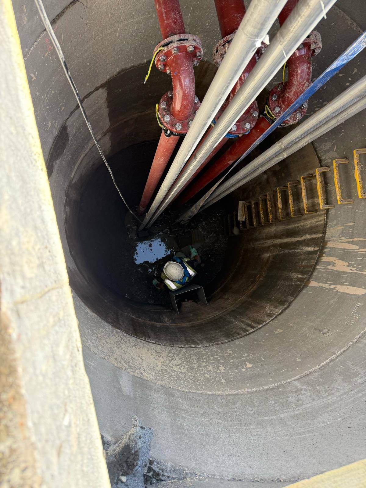 whatsapp image 2026 02 19 at 18.36.50 (1)